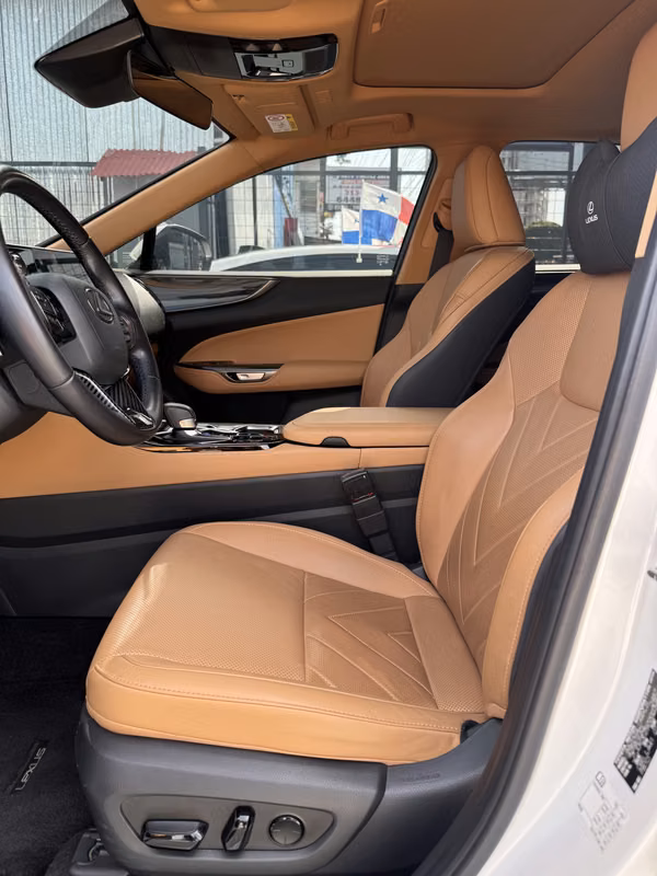 LEXUS NX350H 2024