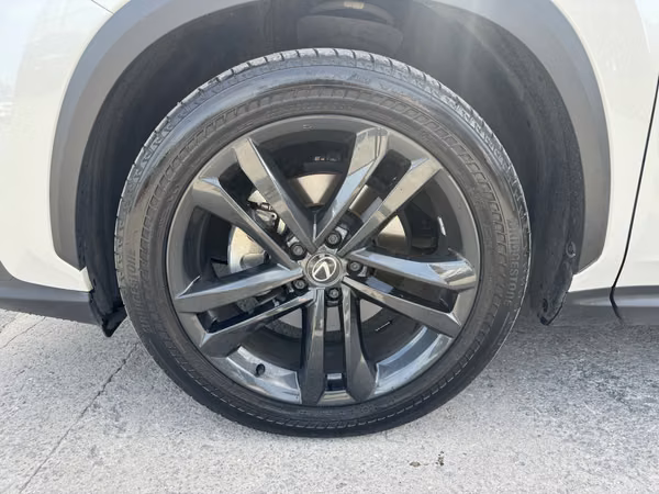 LEXUS NX350H 2024