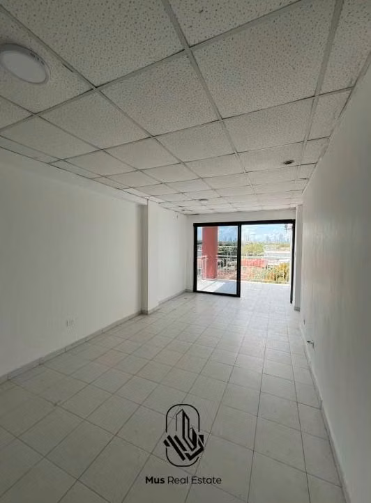 Apartment for sale in Parque Lefevre PH Oasis- YP