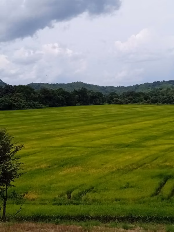 GANGA ULTIMO PRECIO FINCA EN SONA PARA USO AGRO-GANADERA