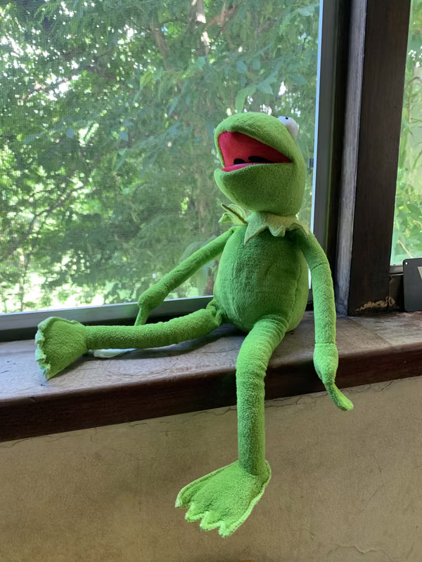Rana René (Kermit)