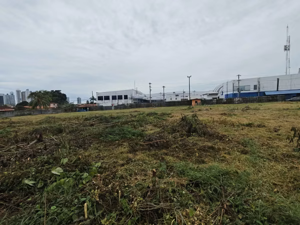Commercial Land for Sale on Ave. Jose Agustin A.
