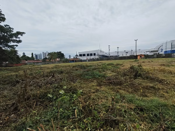 Commercial Land for Sale on Ave. Jose Agustin A.