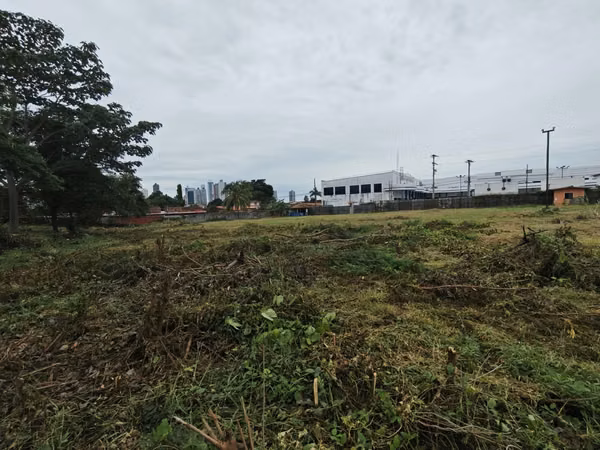 Commercial Land for Sale on Ave. Jose Agustin A.