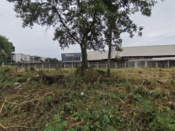 Commercial Land for Sale on Ave. Jose Agustin A.