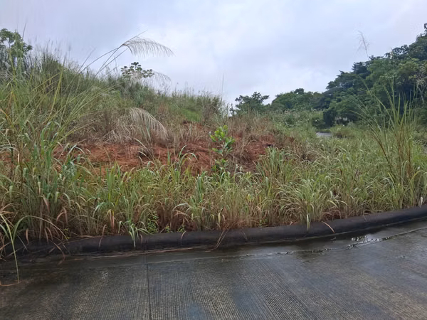 SE VENDE FINCA EN GREEN VALLEY