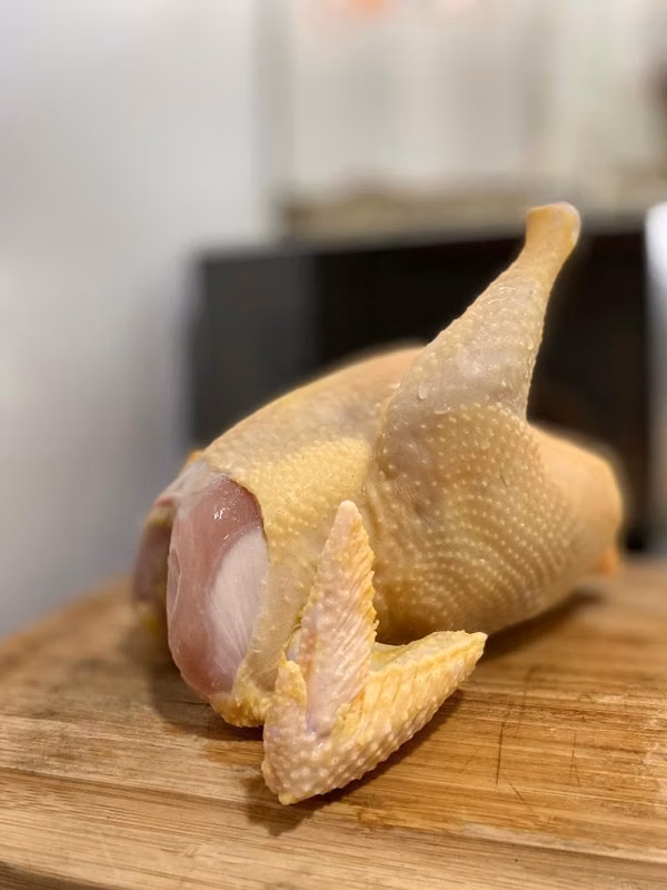 Venta de gallina