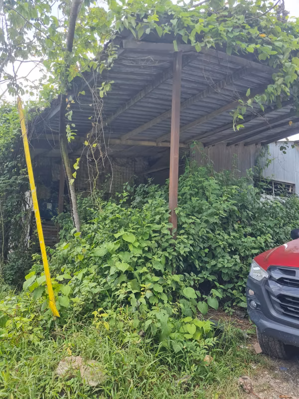 Chilibre Transitmica Boyd Roosevelt Oportunidad Lote 3,900 m2 $300k