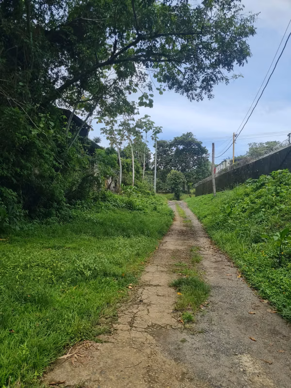 Chilibre Transitmica Boyd Roosevelt Oportunidad Lote 3,900 m2 $300k