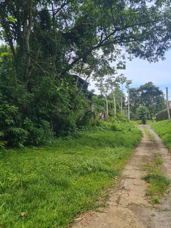 Chilibre Transitmica Boyd Roosevelt Oportunidad Lote 3,900 m2 $300k
