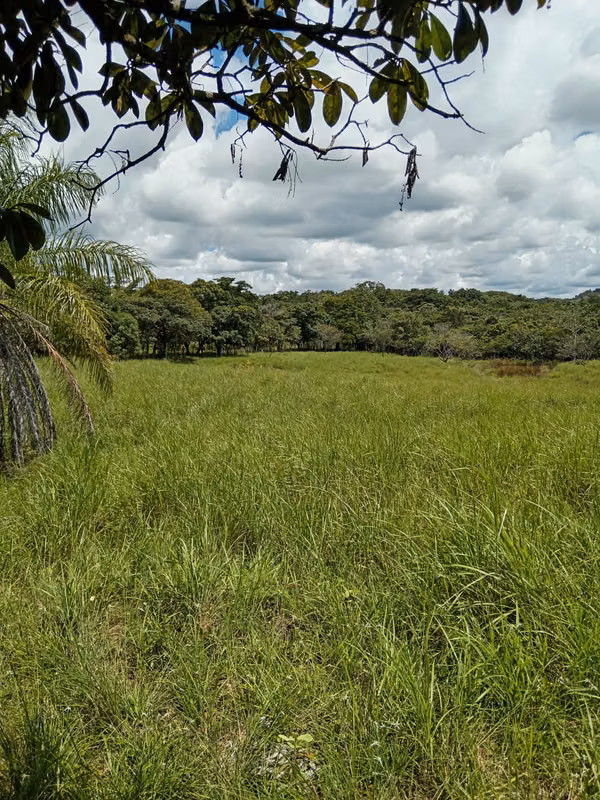 Venta de Finca de 11.6 Hectáreas con Título de Propiedad en La Laguna, Calobre