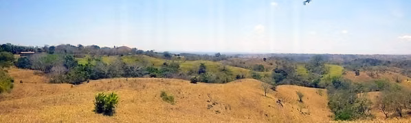 5-Hectare Ocean View Building Lot – Los Pozos, Near Playa Venao