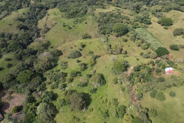 5-Hectare Ocean View Building Lot – Los Pozos, Near Playa Venao