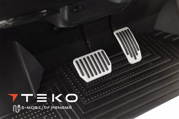 Carrito de Golf TEKO Scout