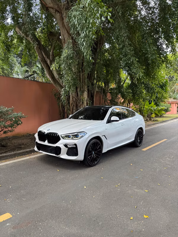 BMW X6 XDRIVE40I M PACKAGE 2020 $48.900