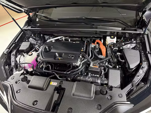 LEXUS NX350h AWD 2025