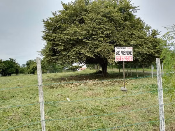 CORONADO REMATO TERRENO