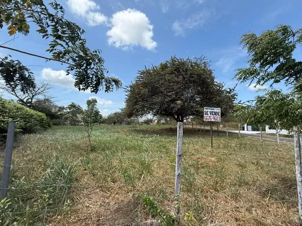 CORONADO REMATO TERRENO