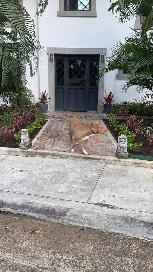 ¡Casa en Alquiler en La Boca, Balboa – Ancón!