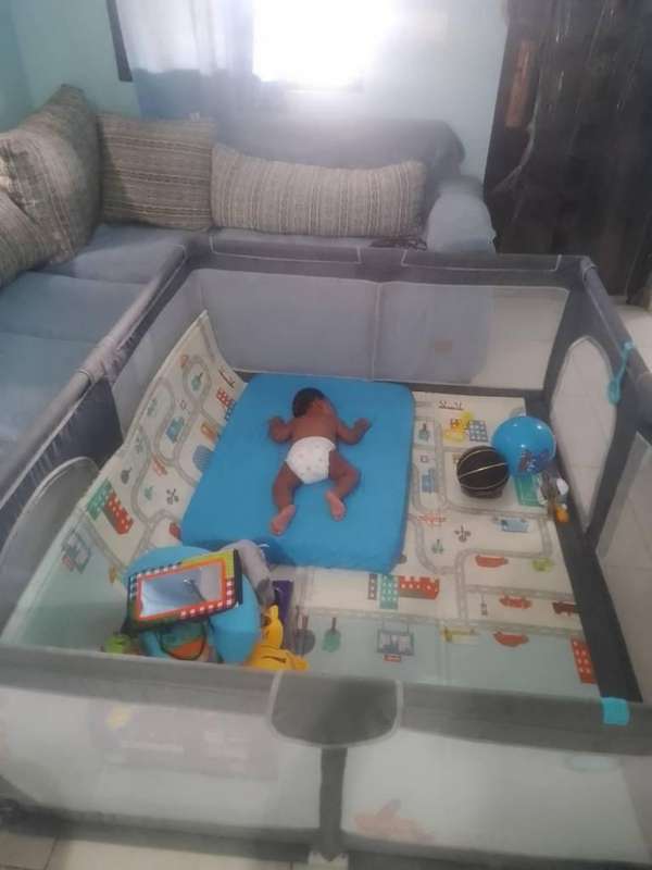 You sell baby's poultry