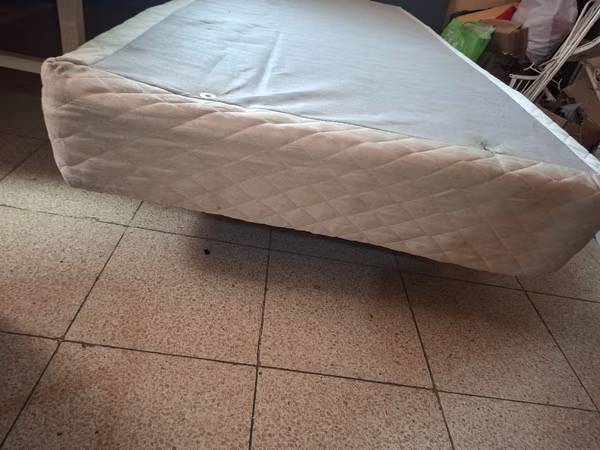 CAMA