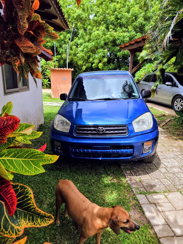 Toyota RAV4 2003 Manual