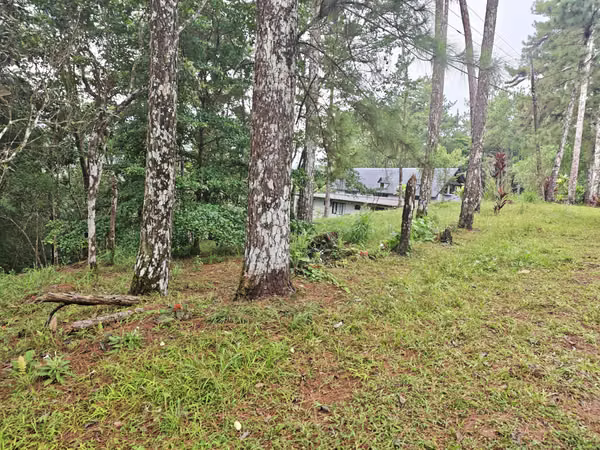 LAND FOR SALE – CERRO AZUL | LAS NUBES