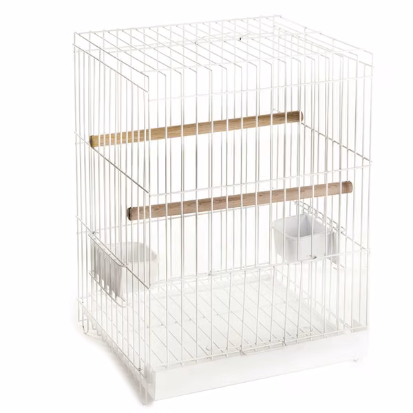 JAULA (Pájaros,perros,gatos,pollitos,conejos)
