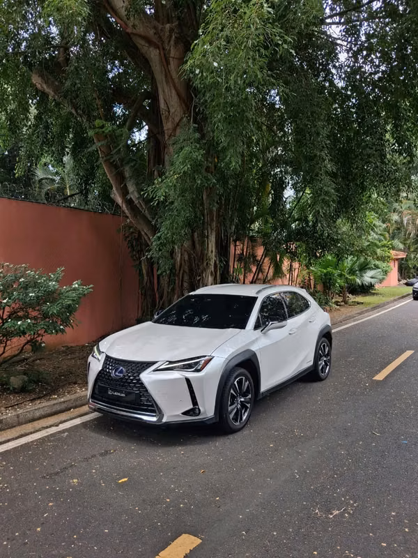 LEXUS UX250h 2022 $20.900