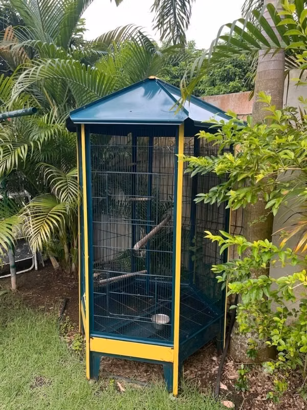 Bird cage