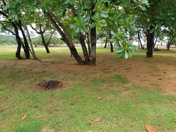 SE VENDE COLON , NOMBRE DE DIOS, LOTE 2 HAS Y 180MTS.FRENTE PLAYA