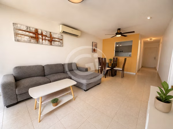 Alquiler Apartamento Majestic Garden Amoblado