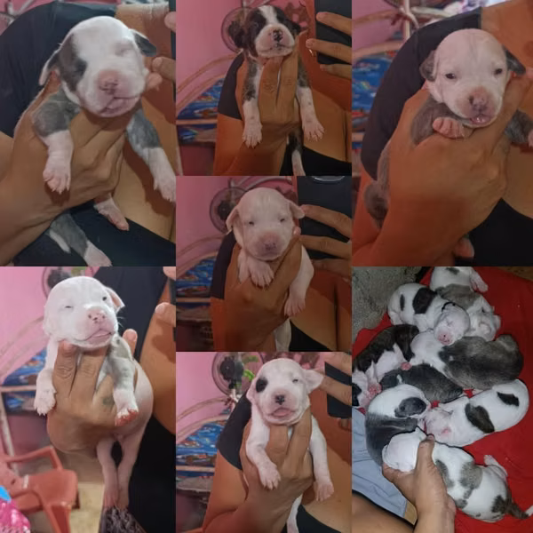A la venta