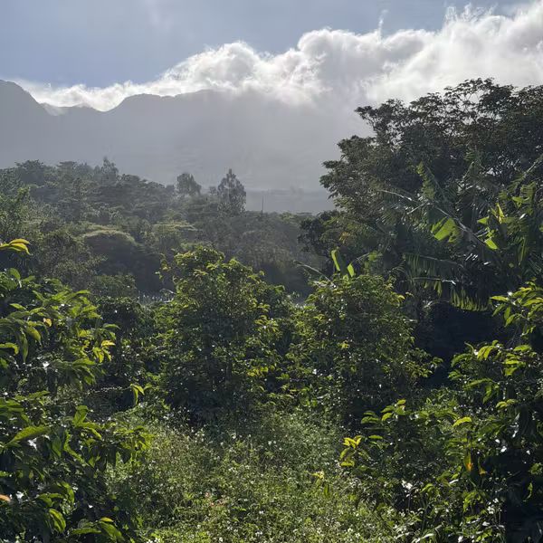 Lotes en Boquete Volcancito