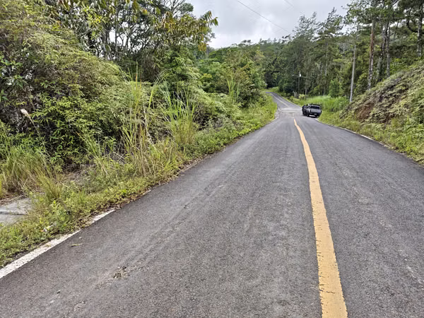 For Sale 50 Hectares Private Forest Reserve for Sale –