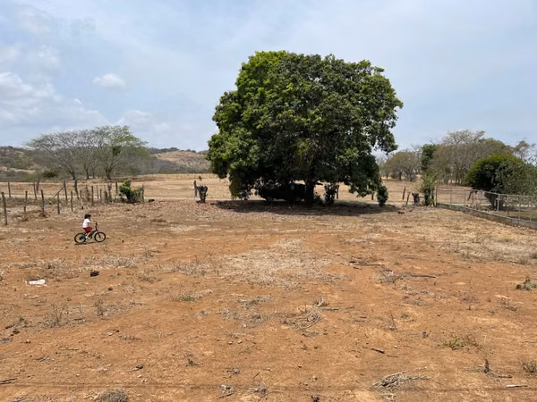 Venta de Terreno en Guarare Perales con 1000m2