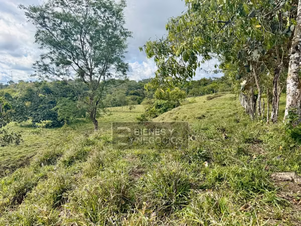 Terreno en Chiriqui, Bugaba, 4.5 hectareas en Camaron Arriba