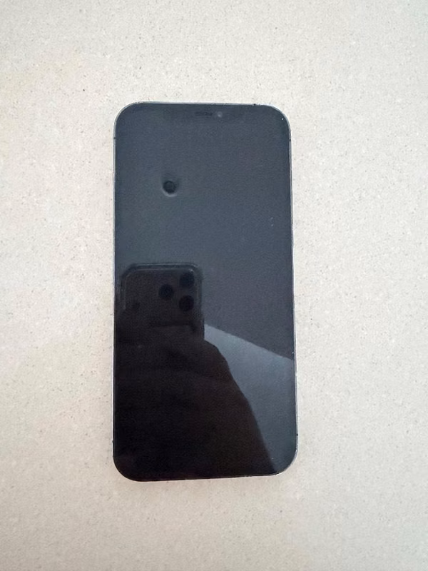 Iphone 12 Pro Max 256GB - Detalle