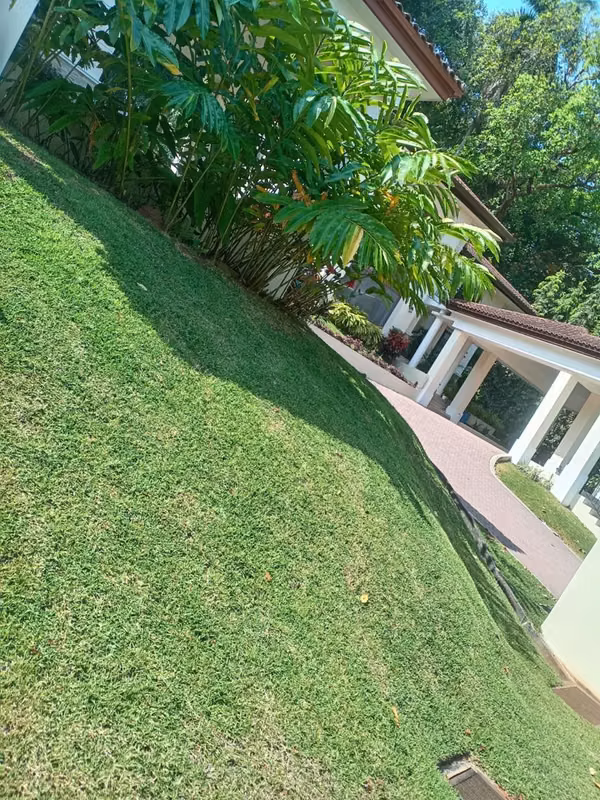 Se vende o alquila