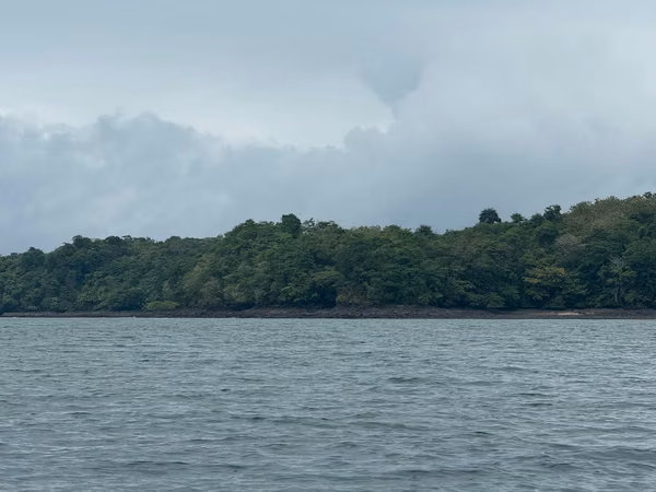 Se Venden 100 Hectáreas en Isla Gobernadora, Veraguas, Panamá – Excelente Oportunidad de Inversión