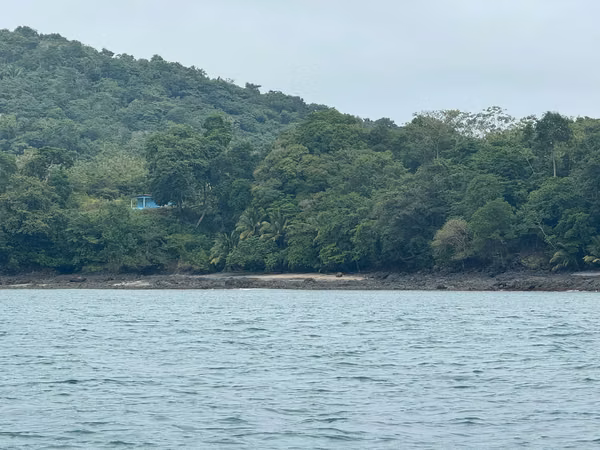 Se Venden 100 Hectáreas en Isla Gobernadora, Veraguas, Panamá – Excelente Oportunidad de Inversión