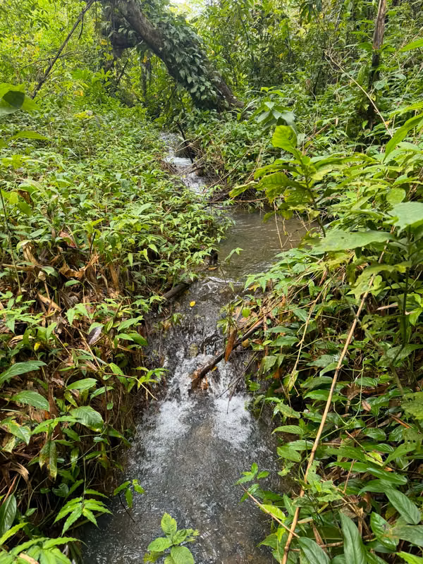 Se Venden 100 Hectáreas en Isla Gobernadora, Veraguas, Panamá – Excelente Oportunidad de Inversión
