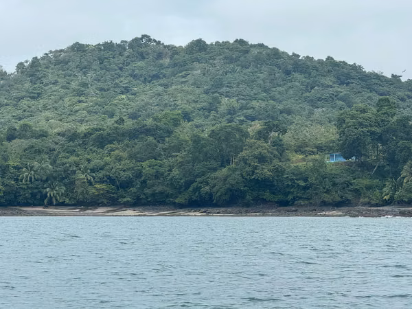 Se Venden 100 Hectáreas en Isla Gobernadora, Veraguas, Panamá – Excelente Oportunidad de Inversión