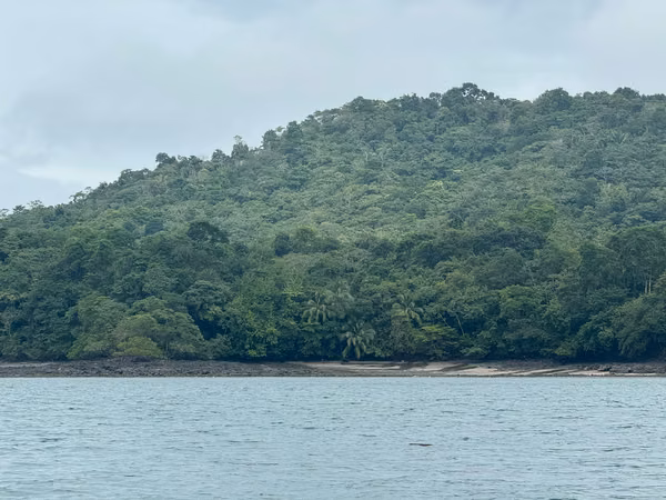 Se Venden 100 Hectáreas en Isla Gobernadora, Veraguas, Panamá – Excelente Oportunidad de Inversión
