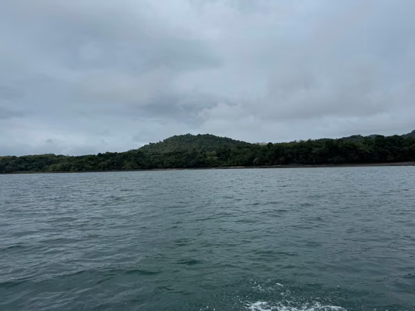 Se Venden 100 Hectáreas en Isla Gobernadora, Veraguas, Panamá – Excelente Oportunidad de Inversión