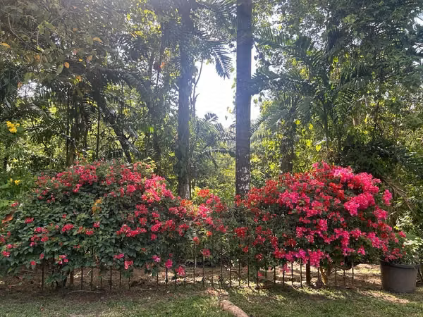 FURNISHED HOUSE FOR RENT IN CLAYTON