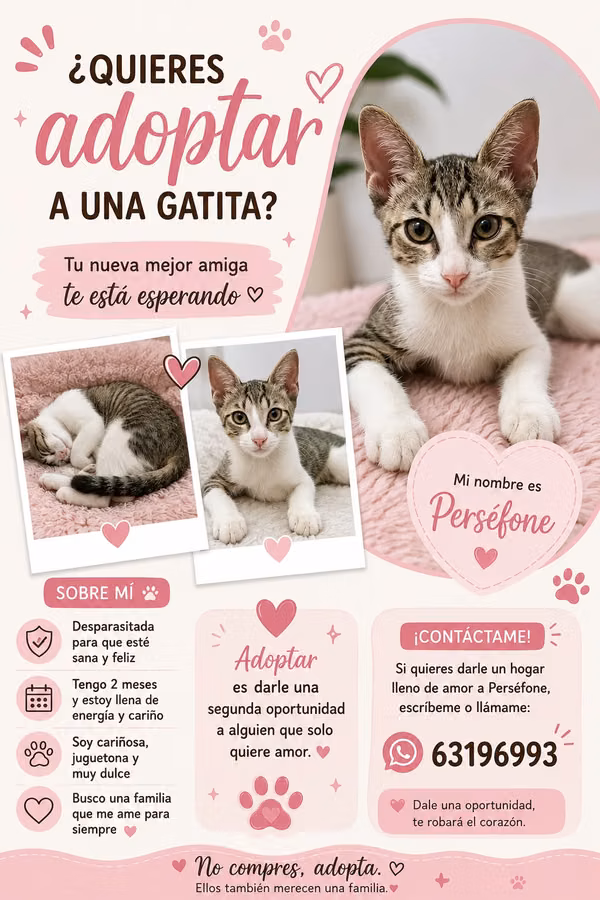  Una hermosa niña busca un hogar lleno de amor 