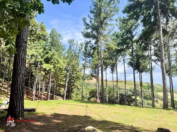 Terreno en Venta en Las Lajas. 26-2281.