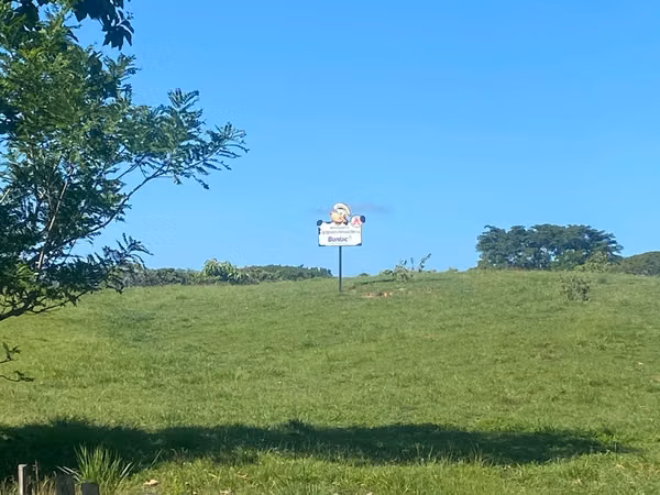 Finca en Venta – 1,119 Hectáreas Cerca de Soná, Veraguas, Panamá