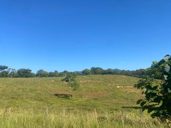 Finca en Venta – 1,119 Hectáreas Cerca de Soná, Veraguas, Panamá